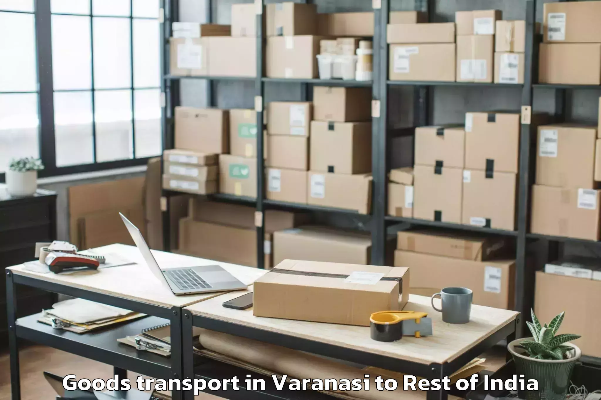 Expert Varanasi to Bhoodan Pochampally Goods Transport